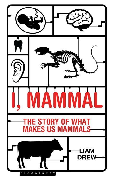 Book cover: I, mammal